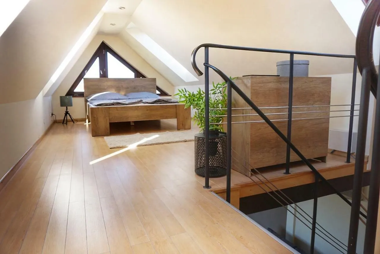 Rooftop Deluxe Apartment プラハ